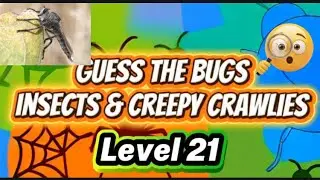 L21 Name or Guess the Bugs Insects & Creepy Clawlies 🐞🕷️🦋Level 21
