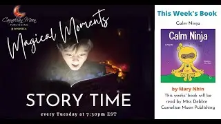 Magical Moments Story Time - Calm Ninja by Mary Nhin and illustrated by Jelena Stupar