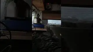 Дождь весь день, мы на домашнем #travel #van #автодом #vanlife #georgia