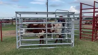 Dube Econo Chute Demo
