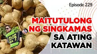 Alam Niyo Ba? Episode 229⎢&lsquo;Health and Nutritional Benefits of Turnip&lsquo;