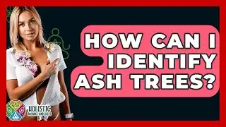 How Can I Identify Ash Trees? - Holistic Balance And Bliss