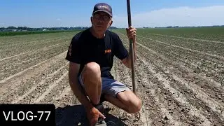 FARMVLOG #77 gewasverzorging, afleveren uien en pootaardappelen