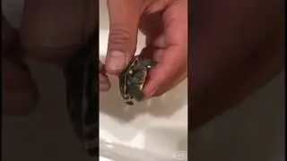 龜痘處理