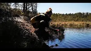 Finnish forest bathing - Mets&auml;kylpy | NATURE ASMR | NATURALLY SILENT