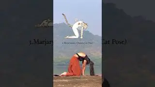 Yoga Poses Inspired by Animals &Nature✨#yoga  #yogaposes #theyogagirl #yogapractice