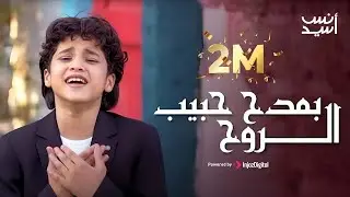 بمدح حبيب الروح  - انس سيد - بث مباشر | Livestream