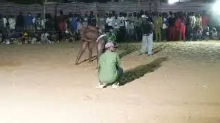 Combat poids lourd (License vs Lamtoro) 04 Janvier 2026, Wack Ngouna 