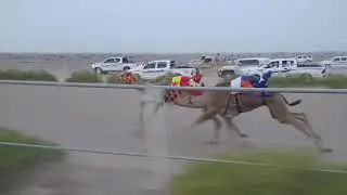 الشوط 2…(شاهين)لـ سالم بن محمد بن سالم البطيني 1:51