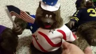 Gemmy Animated Singing Bears Series