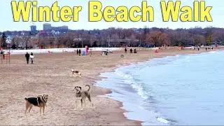 Toronto Winter SUNSET to Nighttime Walk at Woodbine Beach