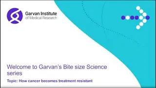 Bite Size Science: How cancer becomes treatment resistant