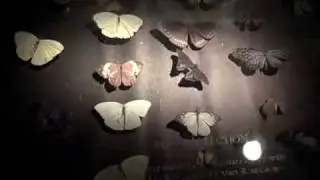 Museum of Jurassic Technology