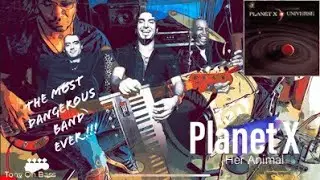 PLANET X-Her Animal (BASS COVER) (Planet X Band) #madewithmoises #basscover #tonyonbass