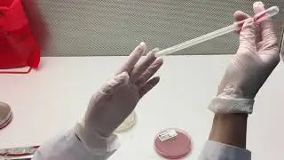 Демонстрация продукта Snap-Stick&trade;