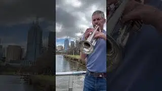 I Sing Praises Part 2 #trumpet #worship #music