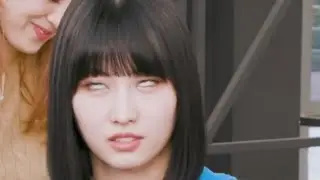 MOMO's eye roll🙄