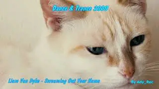 Liam Van Dyke - Screaming Out Your Name - Dance & Trance 2000 - Euro Dance