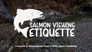 KETA Legacy Foundation Presents: Salmon Viewing Etiquette