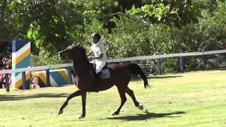 Cobus 1,30 des SHC 9/05