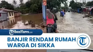 Drainase Meluap, Banjir Setinggi Betis Rendam Sejumlah Rumah Warga di Maumere Sikka