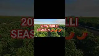 Chilli Season 2025 Recap! 🌶🌶🌶