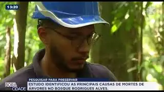 REPORTAGEM SOBRE A COP: QUEDA DE ARVORES NO BOSQUE RDRIGUES ALVES