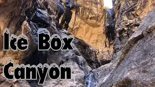 Day hike: Ice Box Canyon in Red Rock Conservation Area in Las Vegas 2019