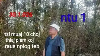 Tsi muaj 10 choj thiaj plam koj raus nplog teb ntu 1.  30 ມັງກອນ 2026