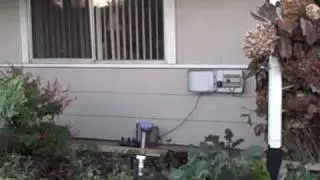 Installing a Rain Barrel for gardening to save water from the roof