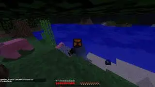 Minecraft - Dolphins grace : Fly porpoising