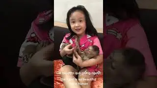 Little girl playing with monkey #shorts #monkey #video