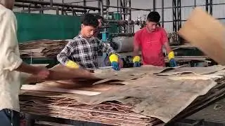 PLYWOOD MAKING 