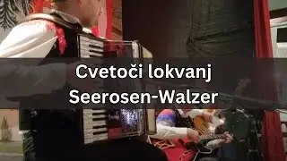 Cvetoči lokvanj - Seerosen-Walzer (Alpski Muzikantje - Melbourne) #oberkrainer #accordion