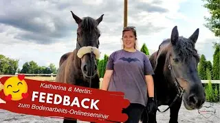 🐴 Von nicht trainierbar zu voll rehabilitiert! Bodenarbeitsteilnehmerin Katharina mit Merlin 😊
