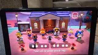 Exercise Animal Crossing