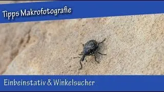 2 Tipps Makrofotografie - Einbeinstativ & Winkelsucher