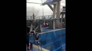 William Bond Ponds Forge