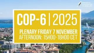 #MinamataCOP6: Afternoon Plenary (7 November 2025)