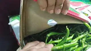 Green chillies export quality could storage Mumbai