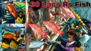30 Lacs Rupee fishing at 1 day😱/ red snapper, Travelly, Mackerel  #fish #surukuvalai #fishermen