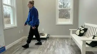 Cannoli- Working on place, sit, down, wait, leave it, look, leash walking, gentle, and come