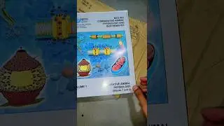 IGNOU MSc. Zoology Book | January 2025 Session | #ignoubooks #zoology #zoologystudent #ignou #msczo