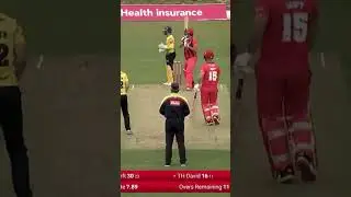 Nathan Sowter Gets Tim David #cricket #shorts #cricket