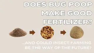 Does bug poop make good fertilizer?