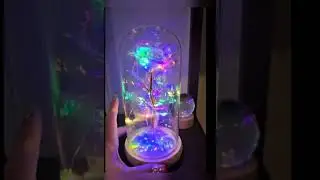 Rose in Glass Dome