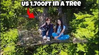 We Finally Found the SECRET Tree Net!
