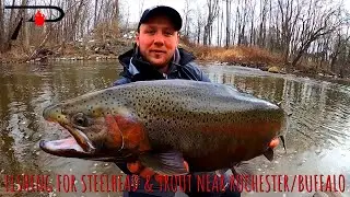Fishing for Steelhead & Trout Near Buffalo & Rochester