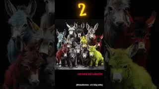 Baby donkeys... How many...? Are you fast? We will check it daily ...