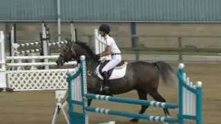 Bryony Holloway... www.comphorses.net